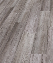 BALTERIO IMPRESSIO - 704
