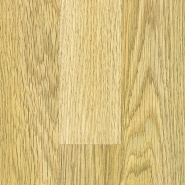 Korosten' NATURE - FN102