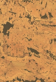 IPOCORK