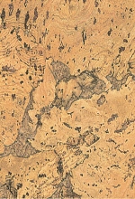 IPOCORK