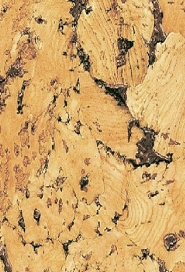 IPOCORK