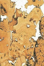 IPOCORK